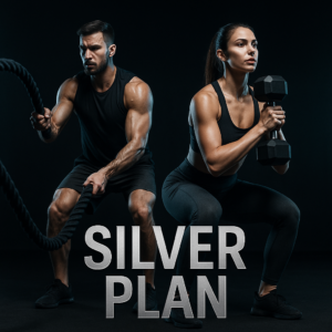SILVER PLAN
